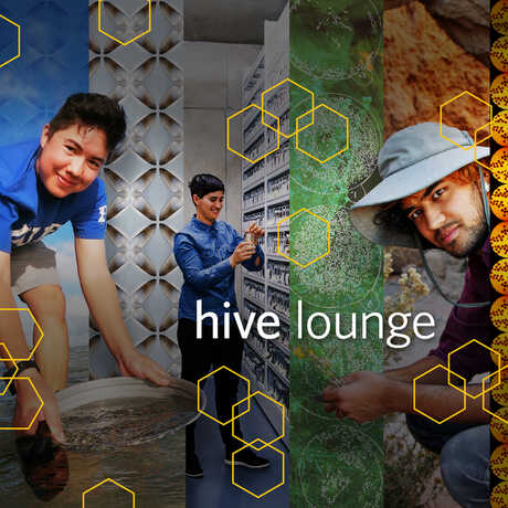 Image of panels from the New Science exhibit with text, "Hive Lounge."