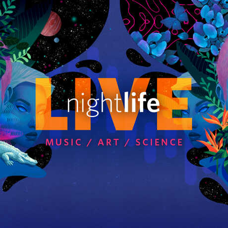 NightLife LIVE illustration