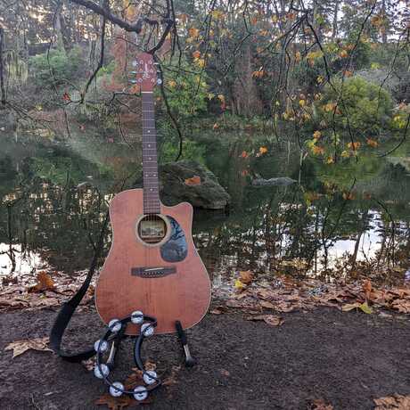 Guitar and tambourine in a rustic woodland setting
