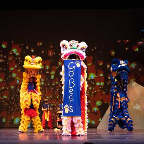Cal VSA Lion Dance dancers in costume on stage