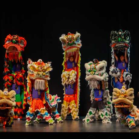 Dancers from Cal VSA performing the lion dance