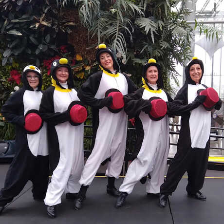 Tap Dancing Penguin dancers during a performance at the Academy 