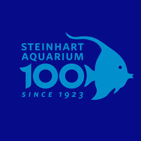 Steinhart Aquarium Centennial wordmark with stylized illustration of Moorish Idol fish 