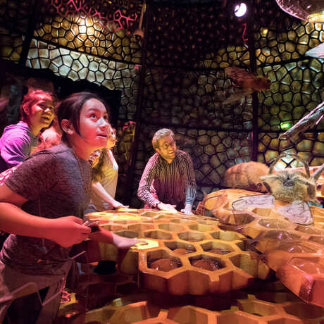 Guests play an interactive game in the Bugs exhibit