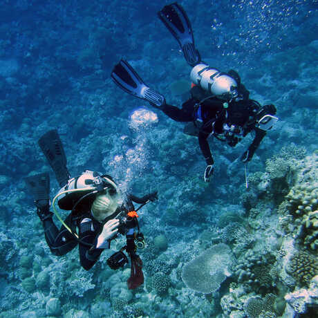 Two Academy scientists dive beside a large coral reef formation
