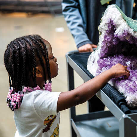 Young girl touches huge amethyst geode on a docent cart at the Academy