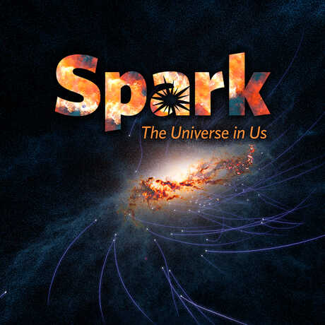 Digital simulation of a galaxy from Spark: The Universe in Us planetarium film 