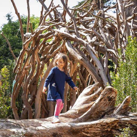 Girl plays atop a fallen tree trunk with a fanciful wood sculpture in the background at Wander Woods at the Academy