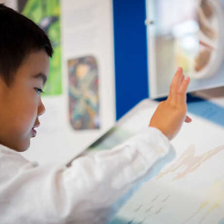 A young visitor explores the Macro Color magnifier on exhibit at the Academy