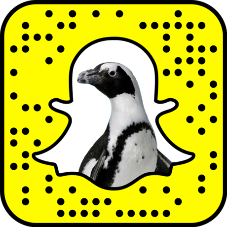 The Academy's official Snapcode