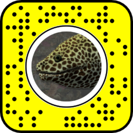 Snapcode for Laced Moray Eel AR lens