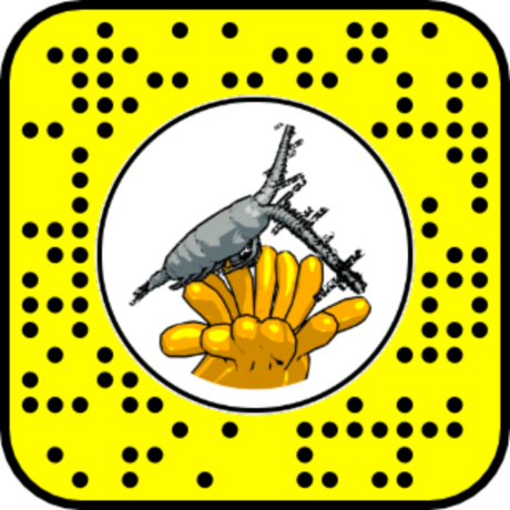 Snapcode for Polyp and Copepod AR lens