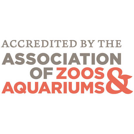 Logo with text that reads: Accredited by the Association of Zoos & Aquariums