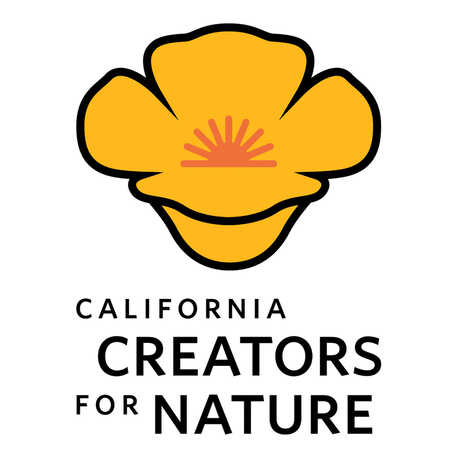 Graphic of an orange poppy with stylized red sun in the center an the words California Creators for Nature underneath