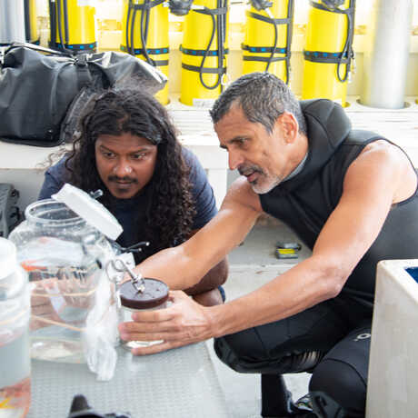 MMRI researcher Ahmed Najeeb and Academy researcher Luiz Rocha inspect a fish specimen in Maldives