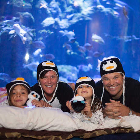 A family at a Penguins+Pajamas sleepover in front of a giant aquarium exhibit