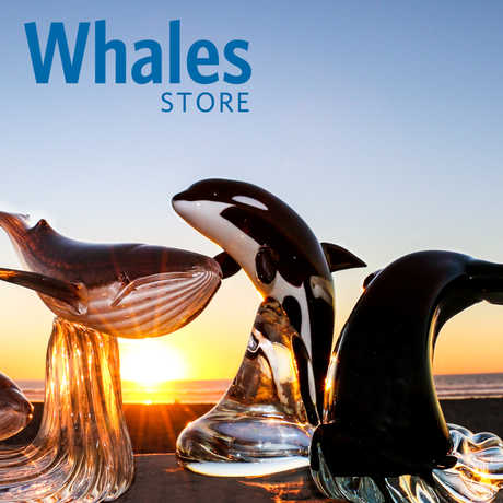 Banner for Whales online store