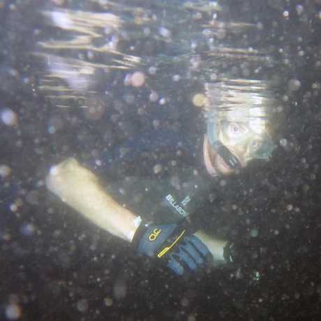 Academy doctor Matt Lewin underwater 