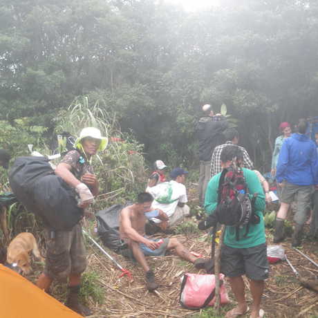 Entomologists, porters, Botanists, a cook, cook’s helper, and guides all arrived after a rainy hike from the lowlands