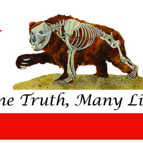 The One Truth, Many Lies flag featuring a Calfornia grizzly bear. 