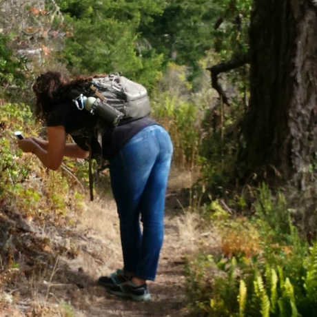 A citizen scientist photographs a plant with her phone for a bioblitz 