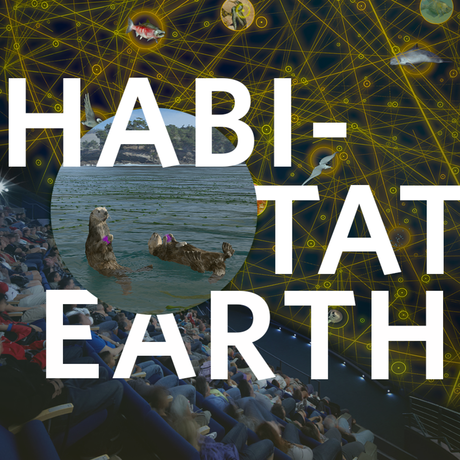 Habitat Earth creative