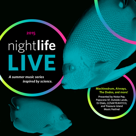 NightLife Live 2015