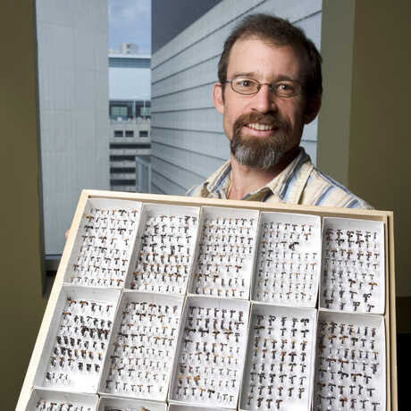 Brian Fisher holding collections tray of ants 