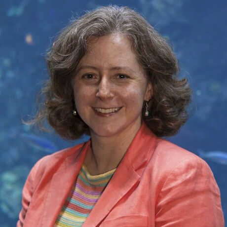 Dr. Elizabeth Babcock, PhD 