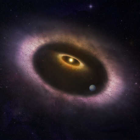 Artist impression of the debris disk surrounding star HD53143.