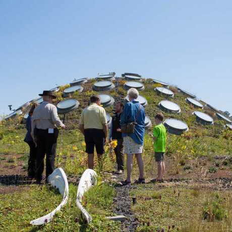 Tour group atop the Academy's Living Roof
