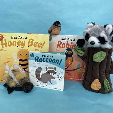 3 story books with a bee, raccoon, and robin puppet