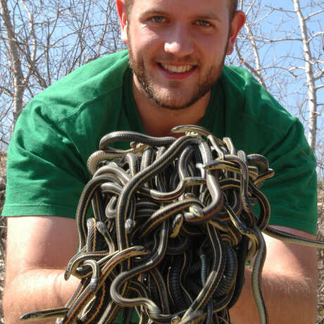 Rocky Parker holds a tangle of snakes