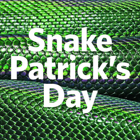 Snake Patrick's Day written on a background of green snake scales