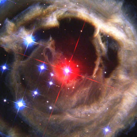 V838 by the Hubble Space Telescope
