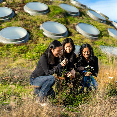 Youth on living roof 