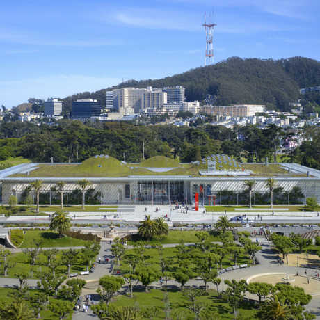 California Academy of Sciences welcomes new Fellows
