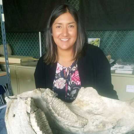 Crystal Cortez, Geology Collections Manager