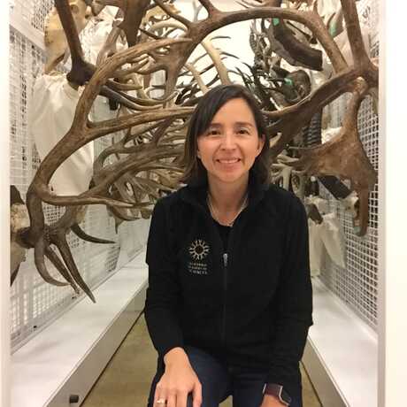Martha Velez, Ornithology and Mammalogy Curatorial Assistant