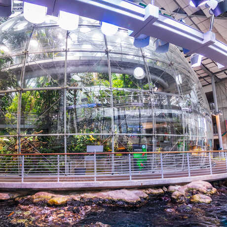 Exterior view of rainforest glass dome with California Coast habitat in foreground