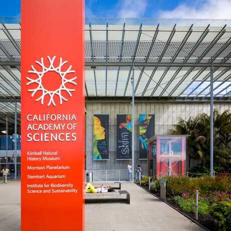 California Academy of Sciences sign and banner