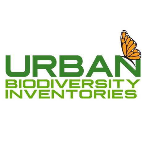 Green words-Urban Biodiversity Inventories and a monarch butterfly drawing