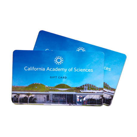 2 Academy gift cards