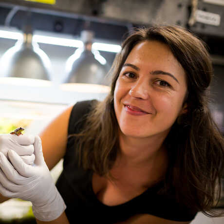 Herpetologist Rayna Bell holds a frog in her lab 
