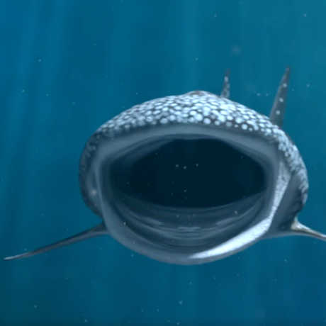 Digital rendering of whale shark mouth