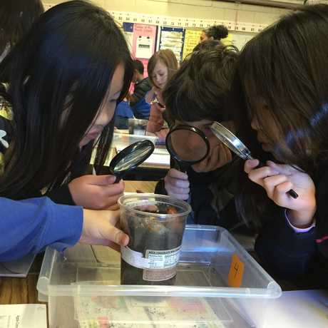 Students studying moldy bread