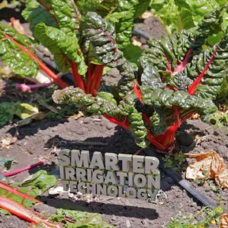 Smarter Irrigation Technology