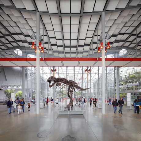 Front lobby of Academy with T. rex cast 