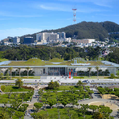 The California Academy of Sciences