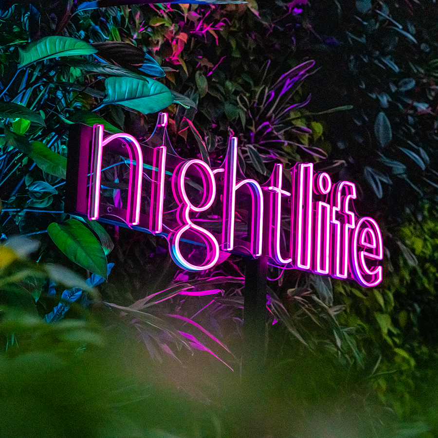 NightLife neon sign